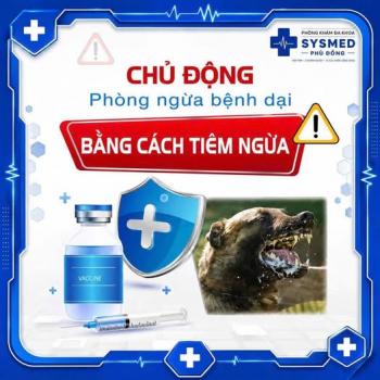 Tiêm Phòng Dại Ngay: Đừng Đánh Đổi Tính Mạng Bằng Sự Chủ Quan!