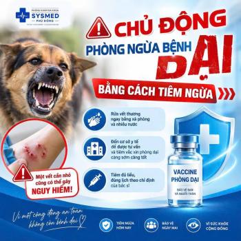 Tiêm Vắc Xin Phòng Dại Tại Gia Lai - Phòng Khám Đa Khoa SYSMED Phù Đổng